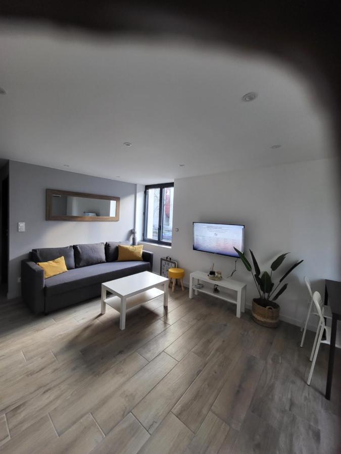 Appartement Entierement Renove A Neuf 101 Saint-Etienne  Dış mekan fotoğraf